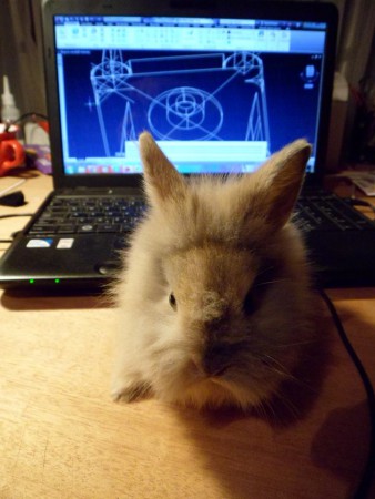 Nyeszke Nyuszka gépezik :)